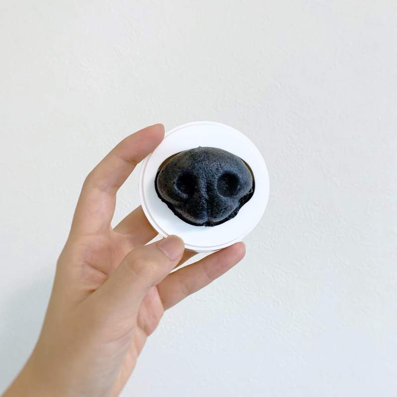 網友製作《狗鼻子濕水海綿》碰一下❤就喜歡那種濕濕的感覺