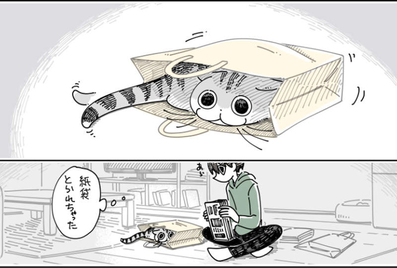 貓奴秒懂的漫畫！大量繁殖的《紙袋貓》…紙袋用時方恨少!