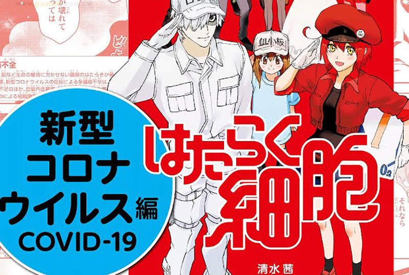 《工作細胞的官方呼籲》注意沒有專家審核的二創作品 誤信來路不明的衛教資訊很危險