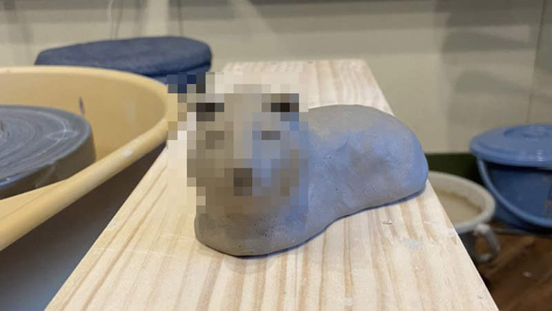 《2022年生肖燒陶悲劇了》說這是老虎你信嗎？陶藝家捏出奇妙生物苦惱該不該回歸塵土