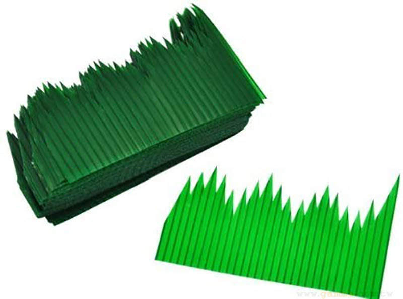 《便當和生魚片裡的塑膠葉》日本漢檢考考你中文該怎麼稱呼？三個虫的名字竟然會放在植物裡