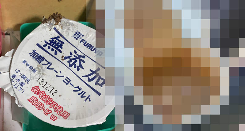 《開封9年前的優格》網友發現小學時代的收藏品 熟成的結果千萬不要邊吃飯邊看…… 《開封9年前的優格》網友發現小學時代的收藏品 熟成的結果千萬不要邊吃飯邊看……
