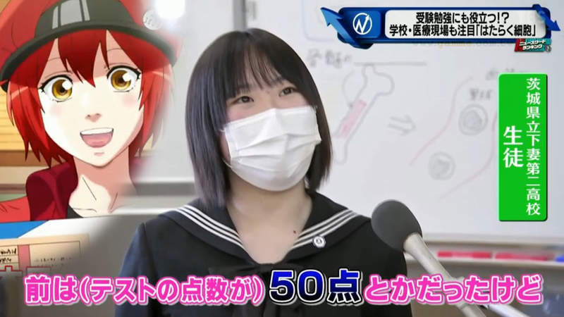 《工作細胞成為實用教材》高中生物課給學生看動畫 原本只考50分進步到70分了