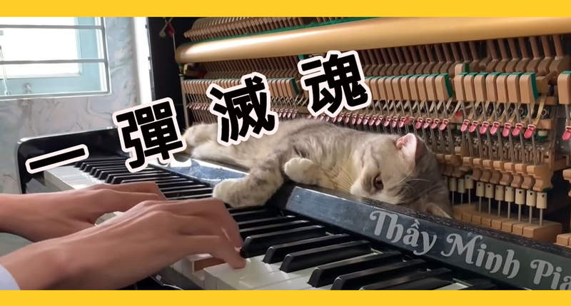 【網路爆紅】一彈入魂挑戰!莫札特《土耳其進行曲》不料〝鋼琴事故〞一彈滅魂! 【網路爆紅】一彈入魂挑戰!莫札特《土耳其進行曲》不料〝鋼琴事故〞一彈滅魂!