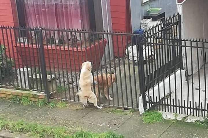 嘴角失守《很難忍住不笑的GIF》才第一張gif就笑出來，我是不是真的很廢啊