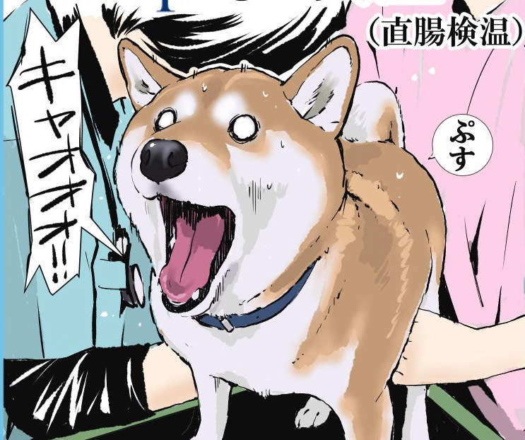 繪師描繪《預防針接種柴柴》維妙維肖的畫風把狗狗畫得超級生動 繪師描繪《預防針接種柴柴》維妙維肖的畫風把狗狗畫得超級生動