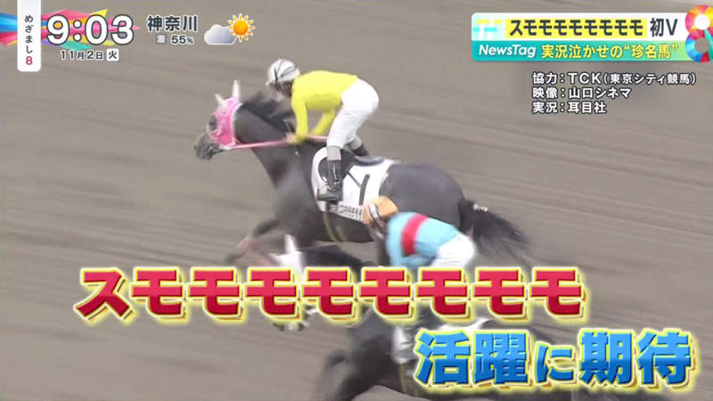 《SUMOMOMOMOMOMOMOMO》日本奇葩名字賽馬首度奪勝 播報員被迫挑戰繞口令 《SUMOMOMOMOMOMOMOMO》日本奇葩名字賽馬首度奪勝 播報員被迫挑戰繞口令