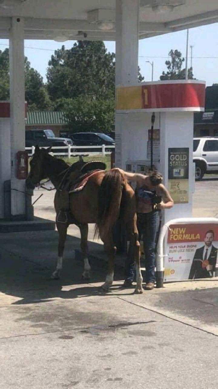 嘴角失守《很難忍住不笑的GIF》馬表示：母湯喔~警告你我是吃草的別捅我