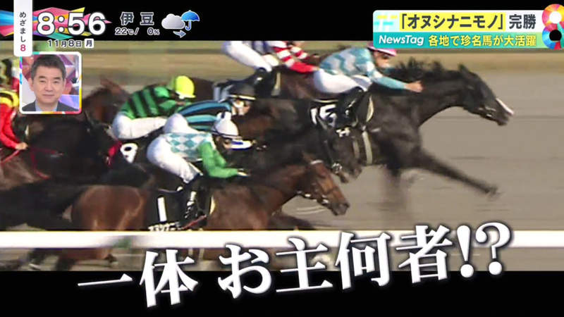 《日本奇葩名字賽馬接連獲勝》你是誰?我可以嗎?馬兒的古怪名字保證讓人一聽就記住 《日本奇葩名字賽馬接連獲勝》你是誰?我可以嗎?馬兒的古怪名字保證讓人一聽就記住