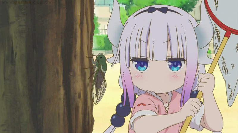 《日本電信歷史冷知識》每逢夏天網路就會離奇大斷線？誰也沒想到是熊蟬繁殖惹的禍