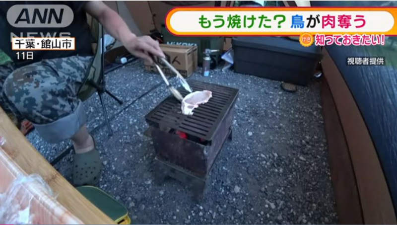 疫情下《一個人露營烤肉》的傻眼〝搶肉事件〞好像也不能向鳥鳥求償吧．．．