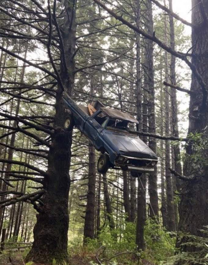 搞笑趣圖《這一定搞錯了什麼》他一定得罪了超人,不然車子怎麼會掛在樹上 搞笑趣圖《這一定搞錯了什麼》他一定得罪了超人,不然車子怎麼會掛在樹上