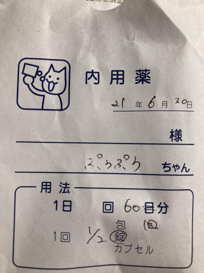 《日本獸醫藥袋》可愛的貓貓吃藥圖案讓網友覺得超可愛 《日本獸醫藥袋》可愛的貓貓吃藥圖案讓網友覺得超可愛
