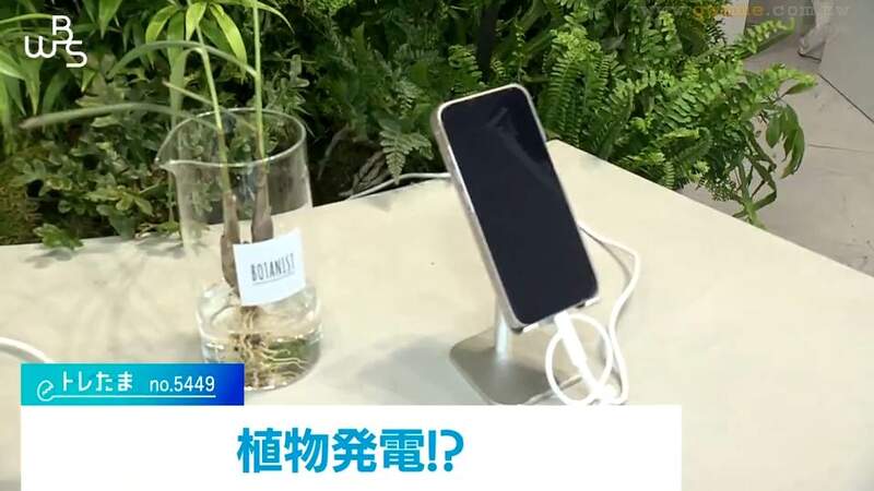 《日本植物發電實驗》替植物澆水還能順便幫手機充電?這個綠能真的有夠綠 《日本植物發電實驗》替植物澆水還能順便幫手機充電?這個綠能真的有夠綠