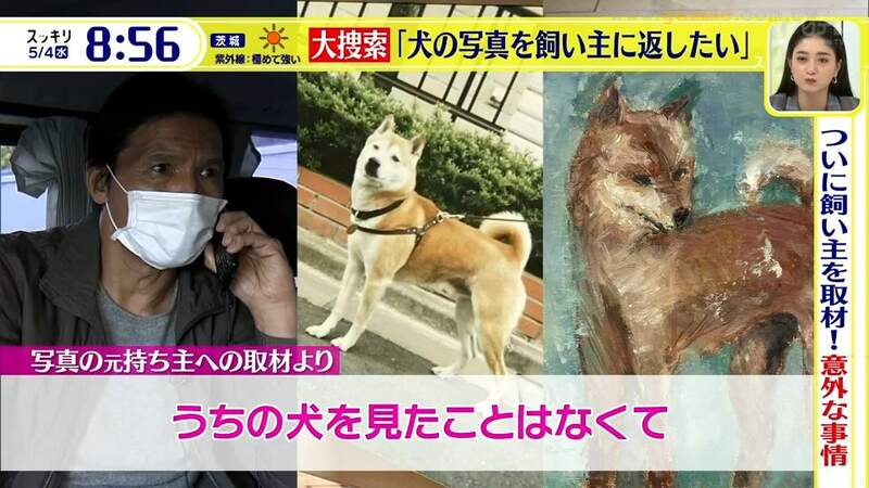 《神秘的柴犬油畫事件》畫布後面赫然發現柴犬照片 日本網友發動大搜索希望還給飼主 《神秘的柴犬油畫事件》畫布後面赫然發現柴犬照片 日本網友發動大搜索希望還給飼主