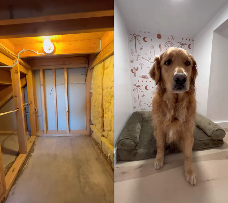 利用家中構造《替自家愛犬打造暖心小窩》充份利用空間真的很住宅改造王