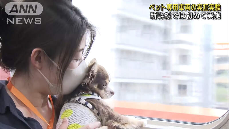 日本試營運《寵物專用新幹線車廂》首次嘗試讓乘客抱著毛孩一同搭車體驗樂趣