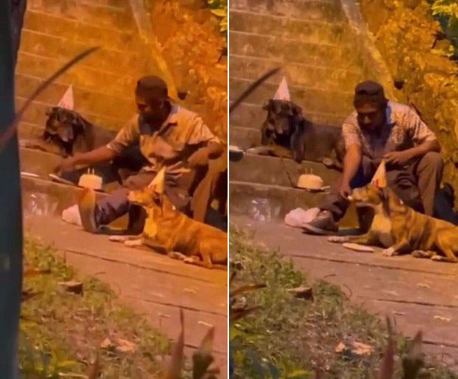 暖心街友替狗狗舉辦《街邊生日趴》點蠟燭切蛋糕現場畫面超溫馨 暖心街友替狗狗舉辦《街邊生日趴》點蠟燭切蛋糕現場畫面超溫馨