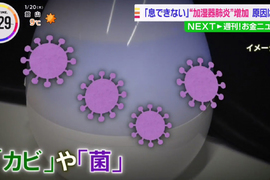 《日本網友染上加濕器肺炎》沒有頻繁換水超危險 加錯水也會變成細菌的溫床