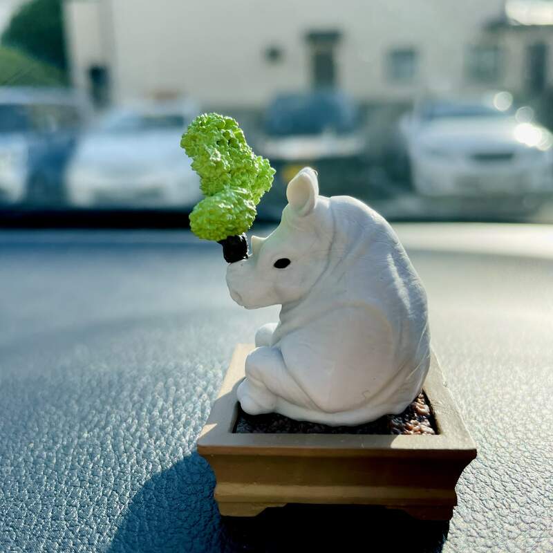 趣味轉蛋《盆栽犀牛》景觀植物配上犀牛的超搞笑搭配