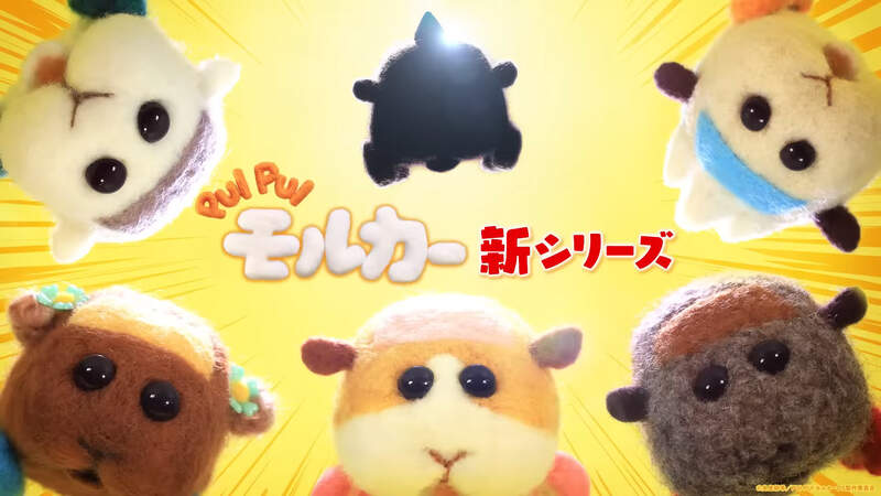 新系列預告《PUI PUI 天竺鼠車車》全新內容2022年秋季推出預定