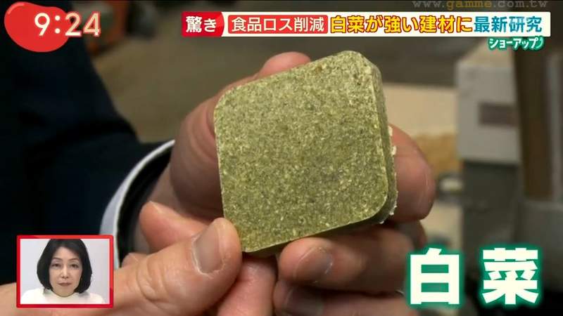 《用白菜蓋房子》當作建材是混凝土的4倍硬 不但環保甚至必要時還可以拿來吃? 《用白菜蓋房子》當作建材是混凝土的4倍硬 不但環保甚至必要時還可以拿來吃?