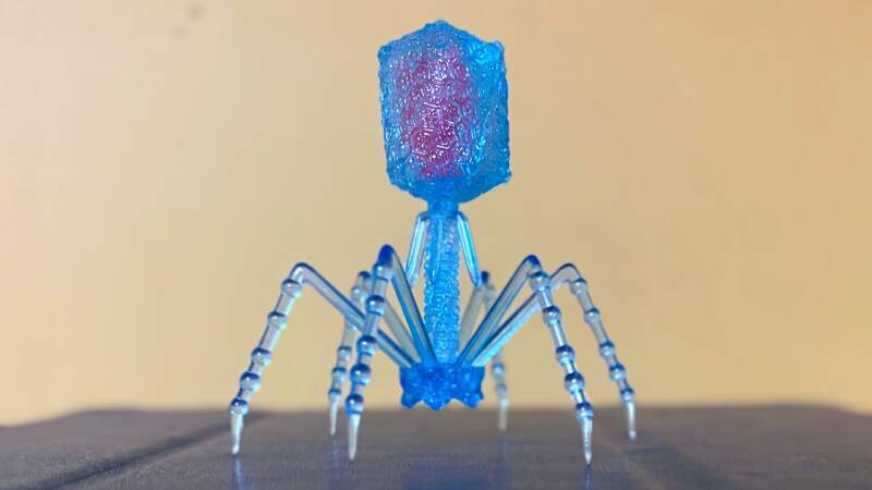 趣味扭蛋《T4噬菌體》受到網友高度喜歡的病毒型轉蛋玩具 趣味扭蛋《T4噬菌體》受到網友高度喜歡的病毒型轉蛋玩具