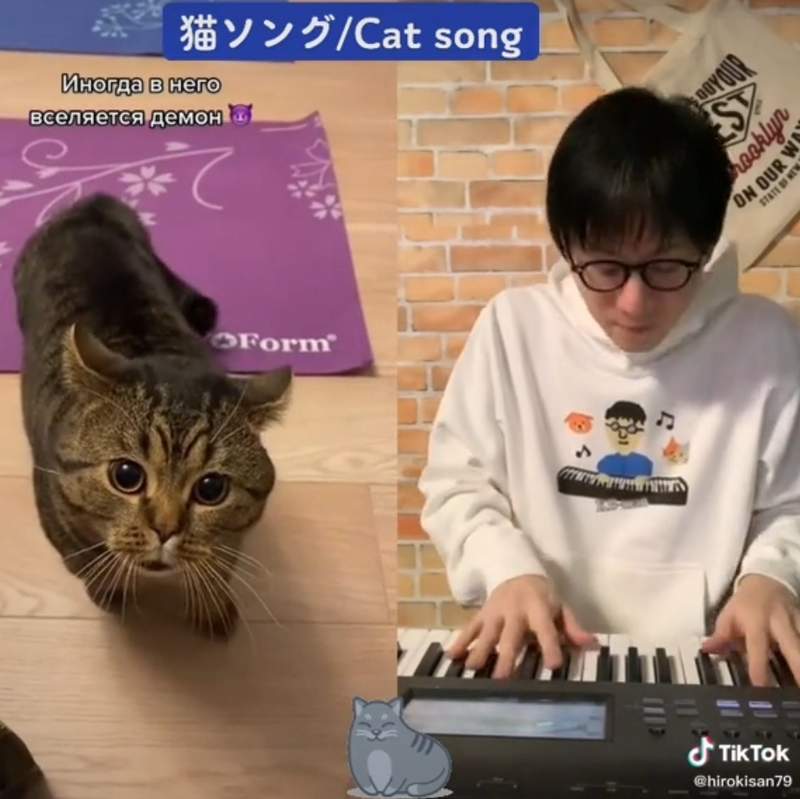 替各種毛孩配樂的《寵物混音大師》來~老師音樂請下 替各種毛孩配樂的《寵物混音大師》來~老師音樂請下