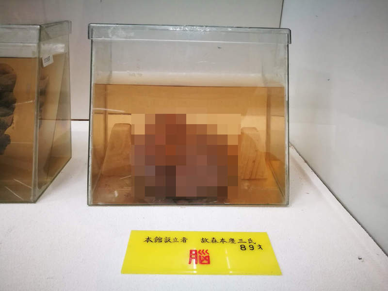 《館長成為展示品的博物館》已故初代館長至今仍在迎接客人 名副其實掏心掏肺做出了貢獻