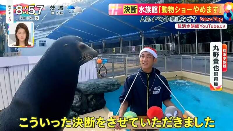 《日本水族館廢除動物表演》為什麼放棄大受歡迎的節目?海獅不用工作精神更好了 《日本水族館廢除動物表演》為什麼放棄大受歡迎的節目?海獅不用工作精神更好了