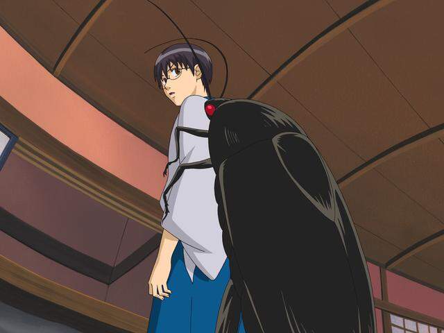 一個月賺6萬《條件是在家中放100隻蟑螂》為期一個月跟小強生活的報酬,大家覺得能夠挑戰嗎? 一個月賺6萬《條件是在家中放100隻蟑螂》為期一個月跟小強生活的報酬,大家覺得能夠挑戰嗎?