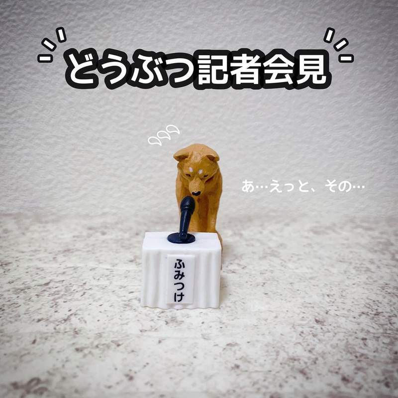 趣味扭蛋《動物的謝罪記者會》以後要是做了對不起人家的事，那就推它們出去吧(誤)