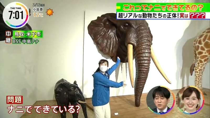 《世界唯一的皮革藝術家》動物模型栩栩如生 皮革美術館成了鳥取最新觀光景點 《世界唯一的皮革藝術家》動物模型栩栩如生 皮革美術館成了鳥取最新觀光景點