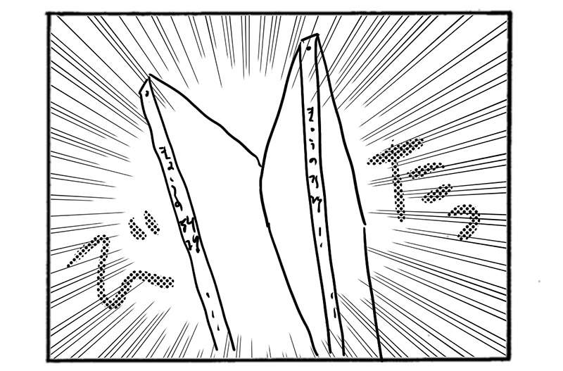 《日本書店店員的呼籲》疫情之下一定要等酒精乾掉再摸書 客人常常不小心毀了貴重的商品 《日本書店店員的呼籲》疫情之下一定要等酒精乾掉再摸書 客人常常不小心毀了貴重的商品