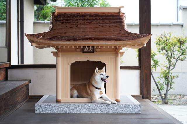 要價450萬台幣的狗屋《犬殿》不誇張~這真的住得比人還要好 要價450萬台幣的狗屋《犬殿》不誇張~這真的住得比人還要好