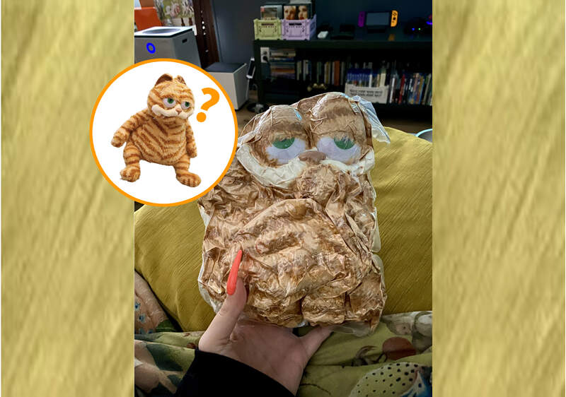 網友分享《讓人傻眼的網購商品》真空包裝的加菲貓讓我覺得好像是被蓄意棄屍一樣