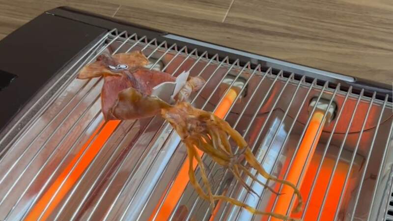 只要方法做對《你就能得到一隻看書的魷魚》實用情報影片公開 只要方法做對《你就能得到一隻看書的魷魚》實用情報影片公開