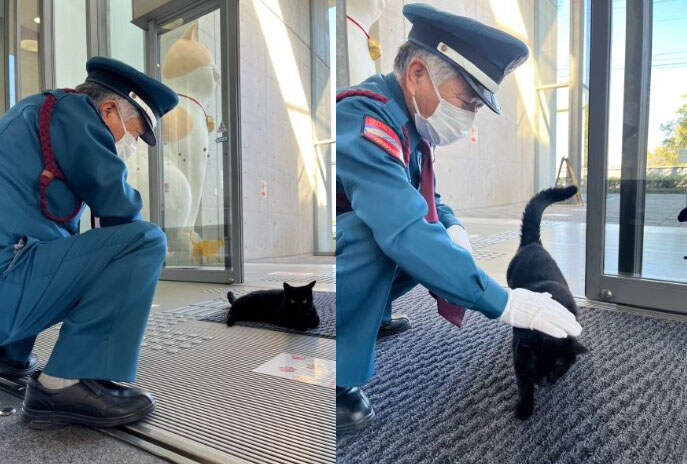 尾道市立美術館《警衛大叔與黑貓睽違四個月的相遇》攻防戰結束現在貓貓只想靠過去撒嬌 尾道市立美術館《警衛大叔與黑貓睽違四個月的相遇》攻防戰結束現在貓貓只想靠過去撒嬌